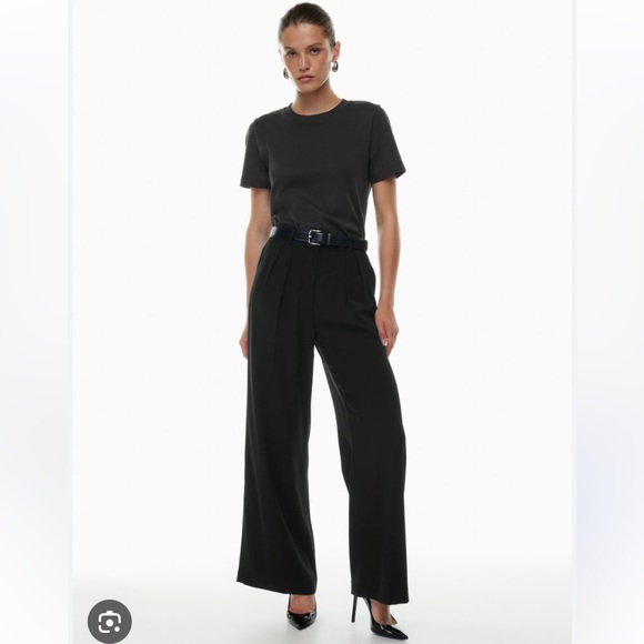 Aritzia Pants - Aritzia Babaton Founder Pant